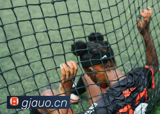 开云官方体育app官网平台生态图